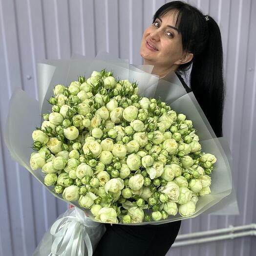 Роза кустовая 35 АЛЕЯ