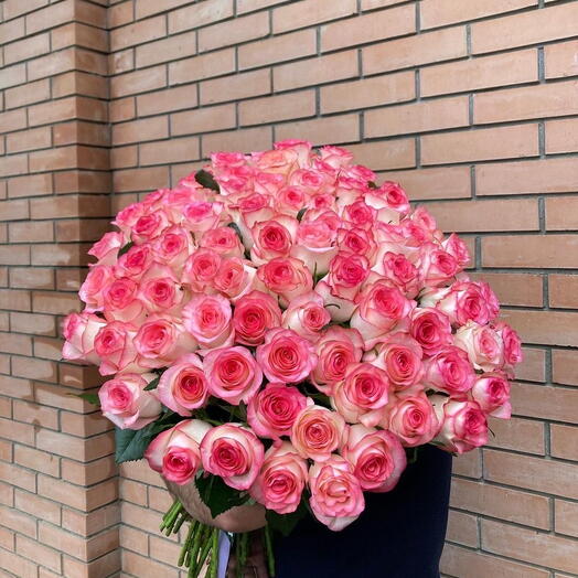 101 Jumilia roses