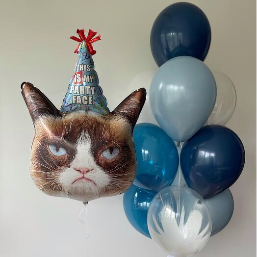 "Смешной котик" (набор из 11 шаров для мужчины)