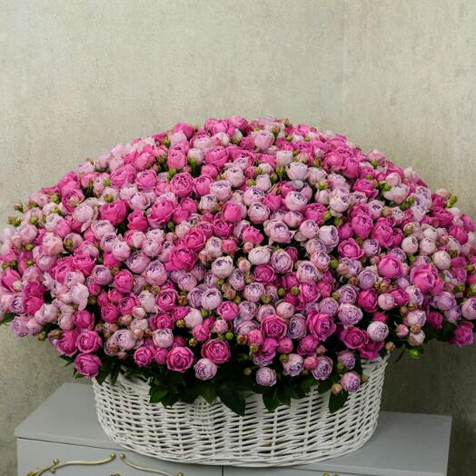 Кустовые розы в Корзине 301 шт