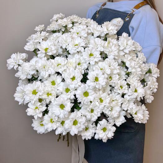 Букет из 15 кустовых хризантем Кеннеди