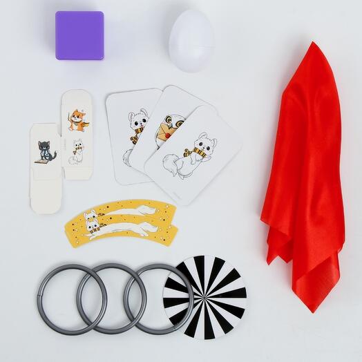 Набор волшебника «Факультет Дружных», 6 фокусов