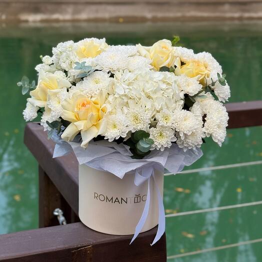 Белое облако - коробка