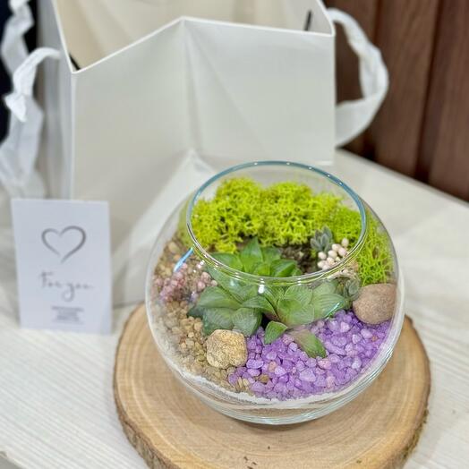 Шарик - флорариум на день рождения