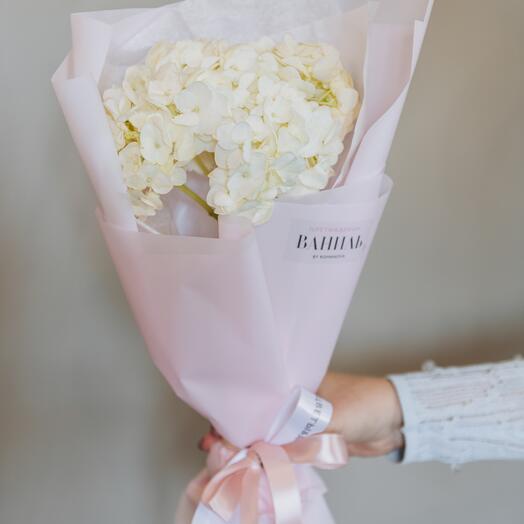 Моно из одной гортензии