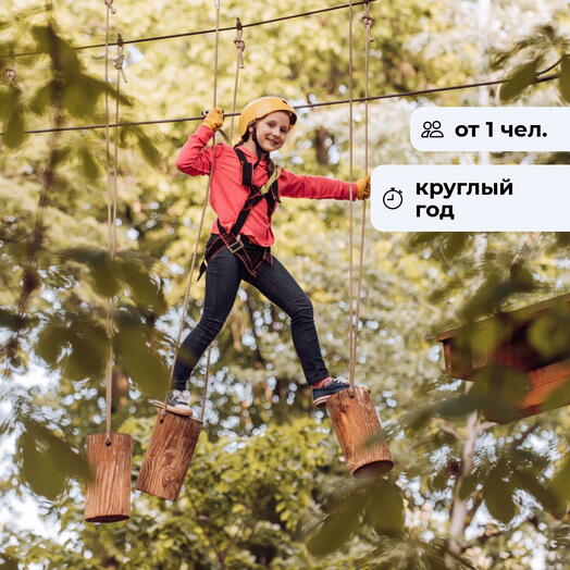 Зарядись адреналином!  Посещение веревочного парка