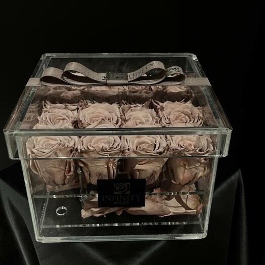 Infinity Classic Box Collection II — Coffee Edition