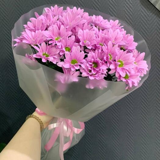 Розовые кустовые хризантемы