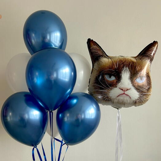 Сет из 7 шаров и недовольного кота 😾