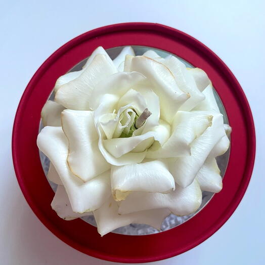 Свеча Бутон французской розы