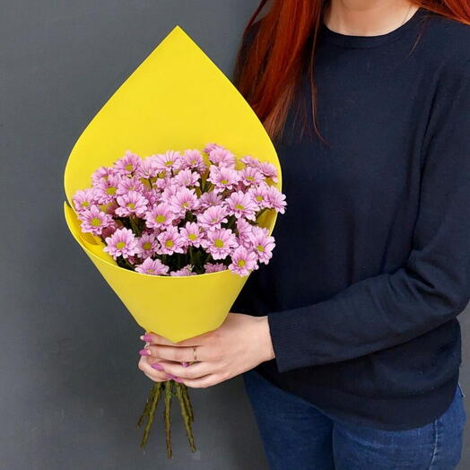 Фиолетовые ромашки 💜Букет сантини😍 Хризантема кустовая Корпаративный на выпускной