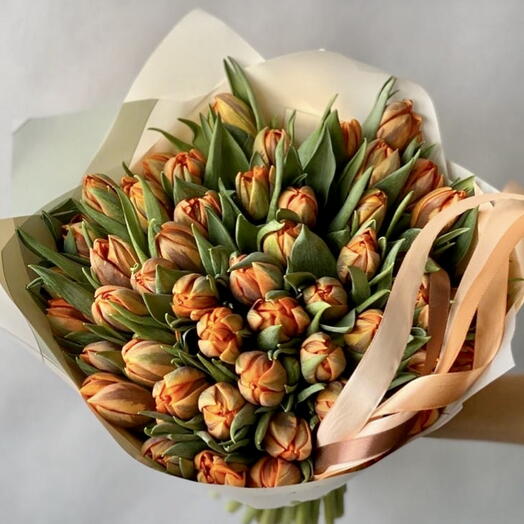 Tulips Sunset orange or yellow flowers