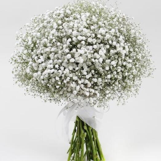 Bouquet of 25 white gypsophila