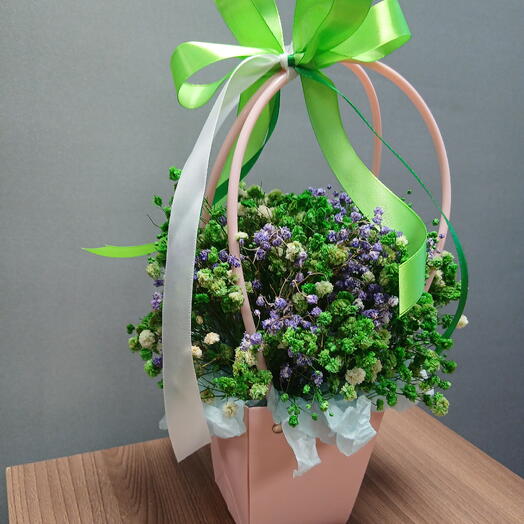 Стабилизированная гипсофила