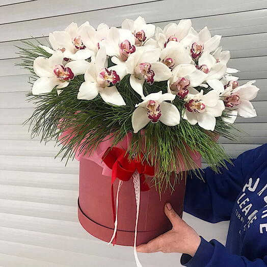 Коробка Поляна орхидей