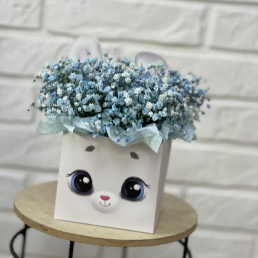 Зайка с гипсофилой