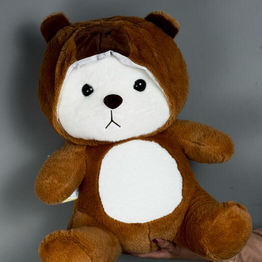 Мишка в костюме капибары