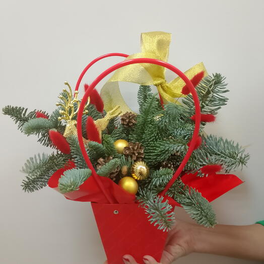 Цветы в коробке-полярная звезда