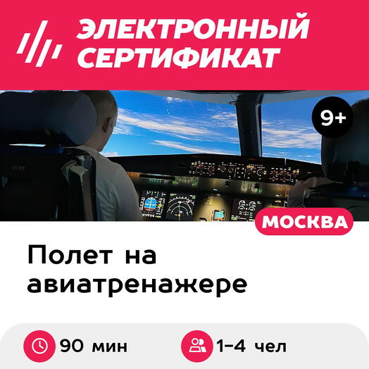 Подарочный сертификат Полет на авиатренажере самолета Airbus A320, 90 мин. для 1-4 чел., будни
