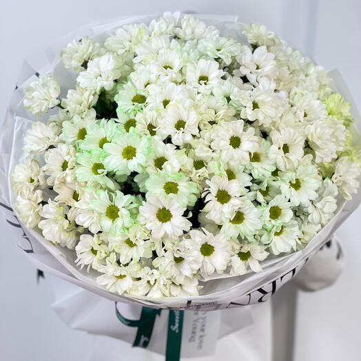 Кустовая хризантема ромашка 🌸 21 шт