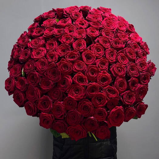 101 Алая Роза 🌹