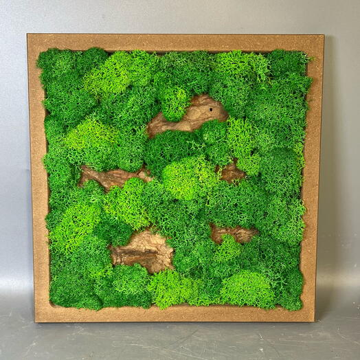 Панно картина из стабилизированного мха, подарок