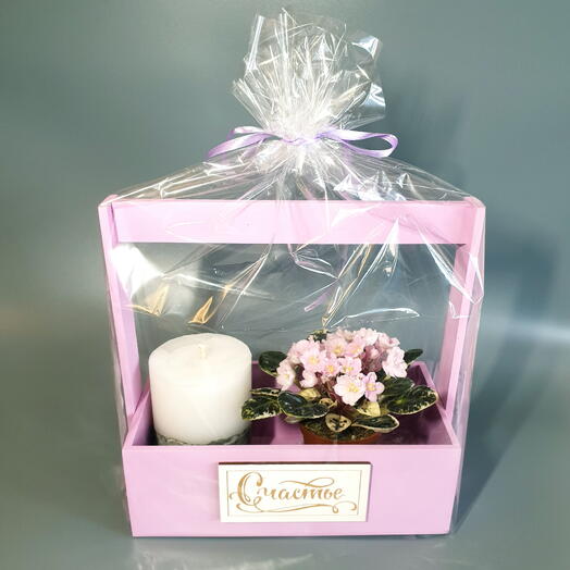 Подарочный набор с фиалкой