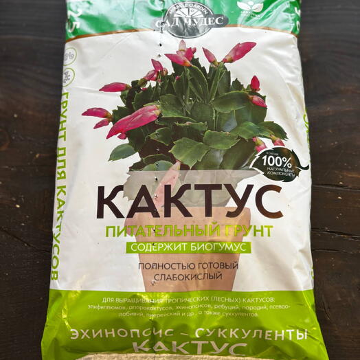 Грунт для кактусов и суккулентов