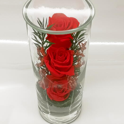 Натуральные пионы в стекле, вакуум (RF2.6000r)