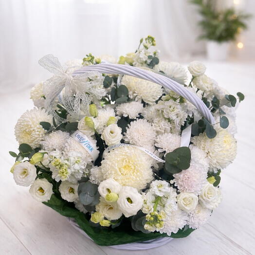 White favourite