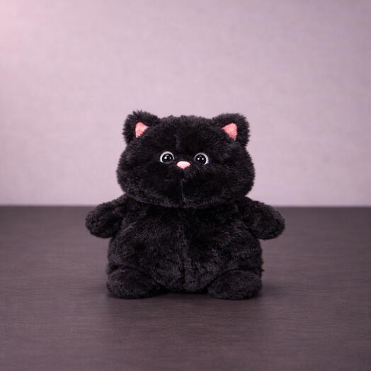 Мягкая игрушка маленький черный кот
