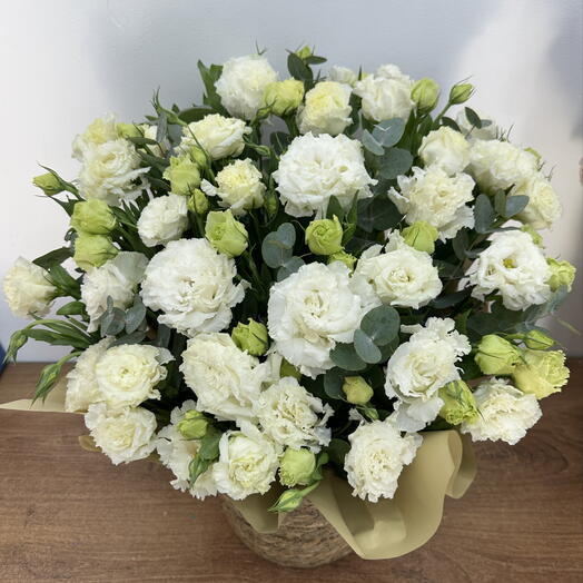 Ivory Garden Elegance
