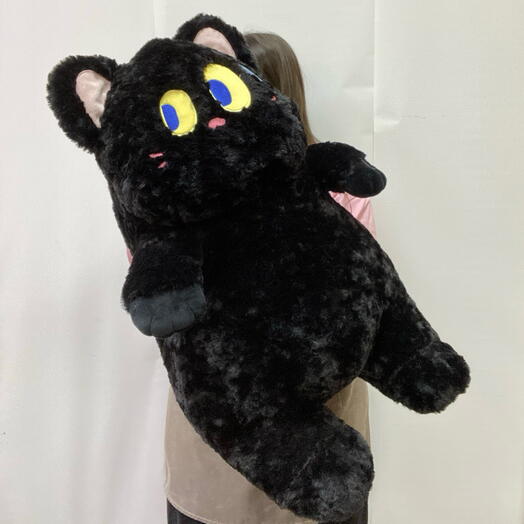 Черный кот