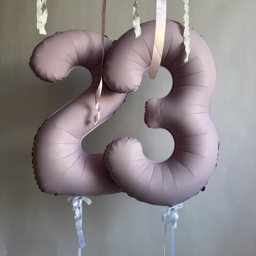 Воздушные шары 23