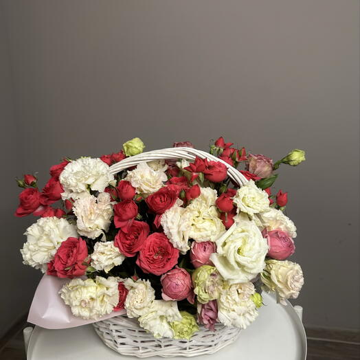 Assyl Bloom