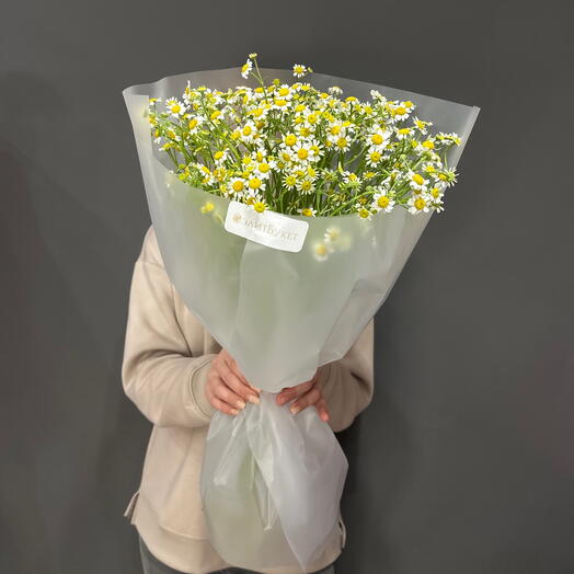 Букет из ромашек ( танацетум )