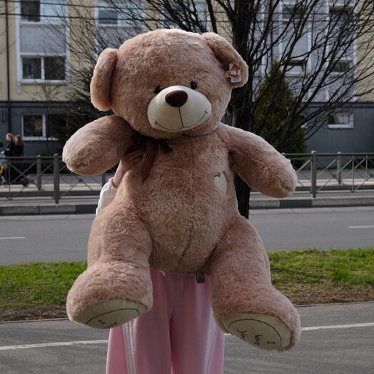 Медведь Средний