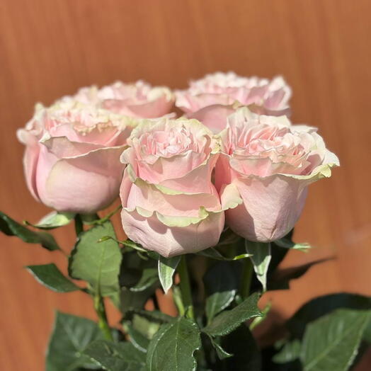 Букет из 5 розовых роз