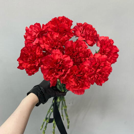Красная гвоздика 10 штук