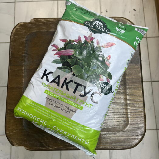 Грунт кактус