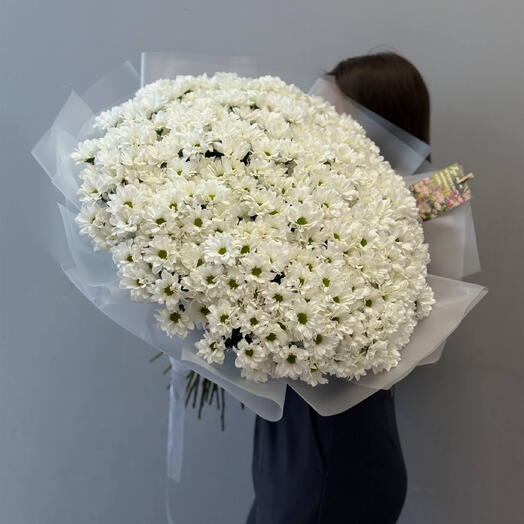 Букет из 51 ромашковой хризантемы