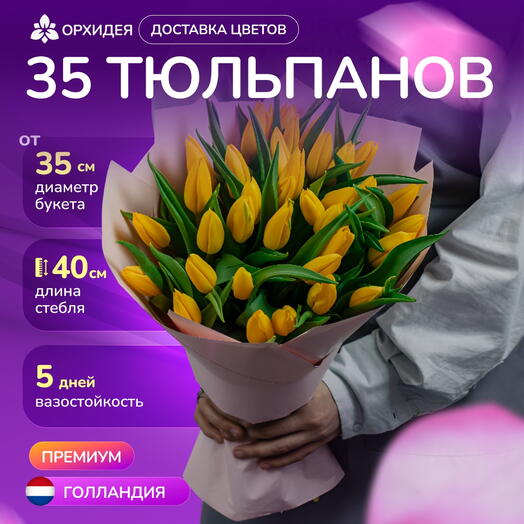 35 тюльпанов Стронг Голд