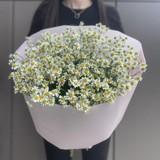 Монобукет из 15 кустовых ромашек