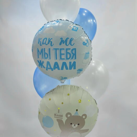 Сет из 6 шаров на выписку мальчика