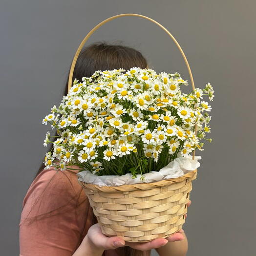Корзина ромашек