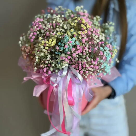 Гипсофила радужная 💜