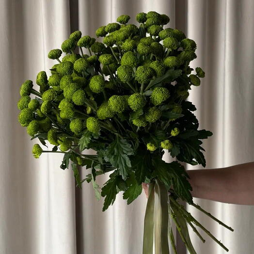 Монобукет из кустовой хризантемы 11шт 💚