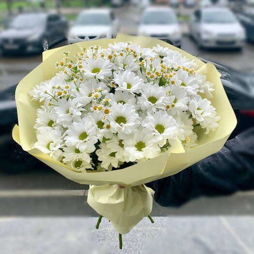 Букет из 7 хризантем и ромашек с упаковкой