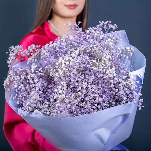 Букет из фиолетовых гипсофил