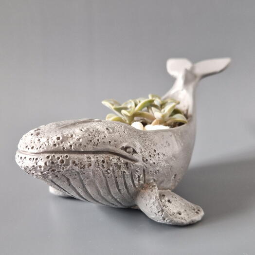 The composition "gray whale"